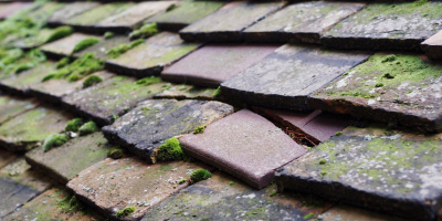 Llanthony roof repair costs